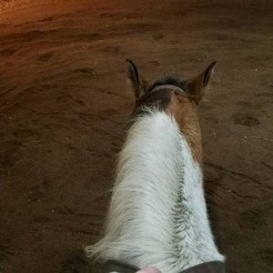 Meet your Posher, Barbara